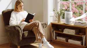 Top Picks Of Levoit Air Purifiers On Amazon