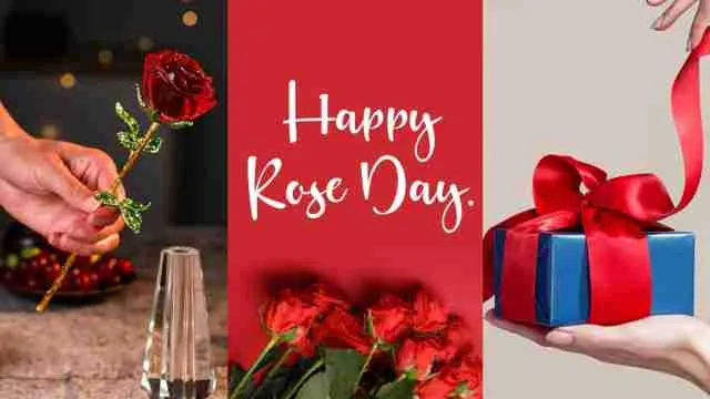 Valentine Week 2026 का पहला दिन: Rose Day को बनाएं खास ₹500 के अंदर आने वाले तोहफे के साथ