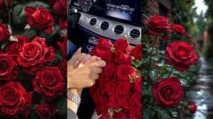 Rose Day 2026 Gift Ideas