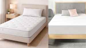 Top-Rated Orthopedic Mattresses 