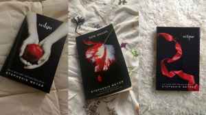 Top Picks Of Twilight Books To Read 