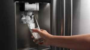 Fridge Models Have an In-Built Water Dispenser