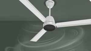 Top Picks Of Crompton Ceiling Fans: On Amazon