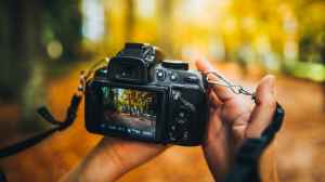 5 DSLR Cameras With Strong Low Light Performance 