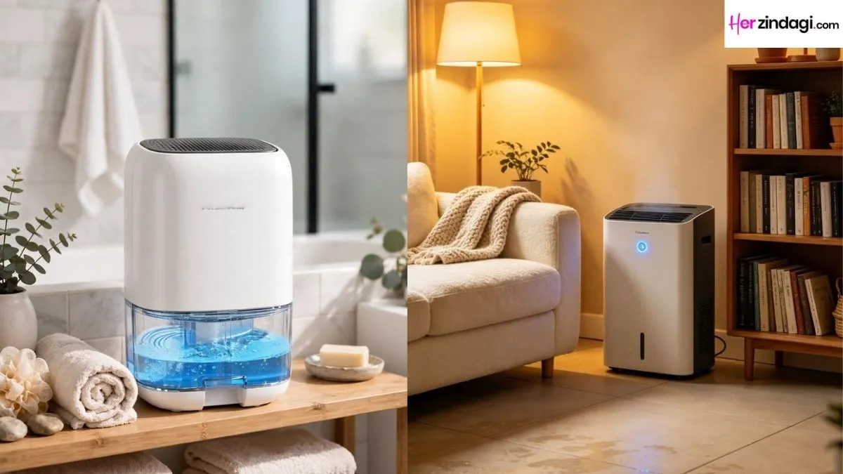 5 Dehumidifiers That Can Make Humid Monsoon Days More Comfortable at Home (August 2026)