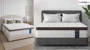 The Sleep Company Mattresses 