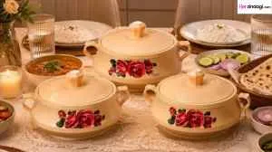 Best Designer Casserole Sets