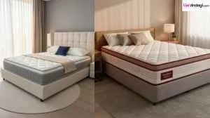 The Sleep Company King Size Mattresses 
