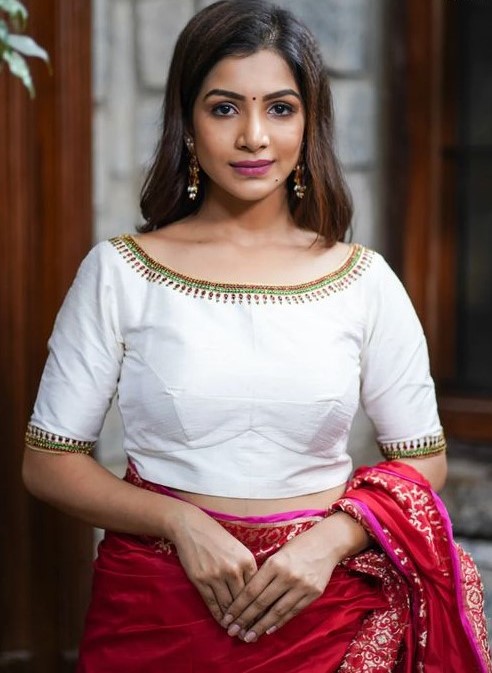 Raw Silk Deep Boat Neck Blouse Design