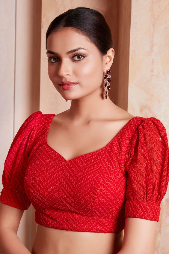 Balloon Sleeves Blouse Design