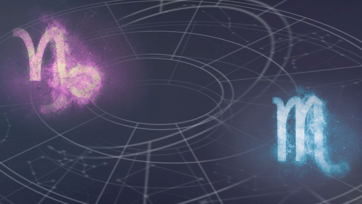 Capricorn And Scorpio Relationship Compatibility As Partners