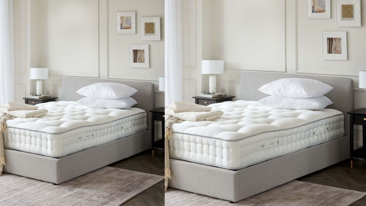 Which Mattress Is Good For Back Pain? (September 2024) The Ultimate