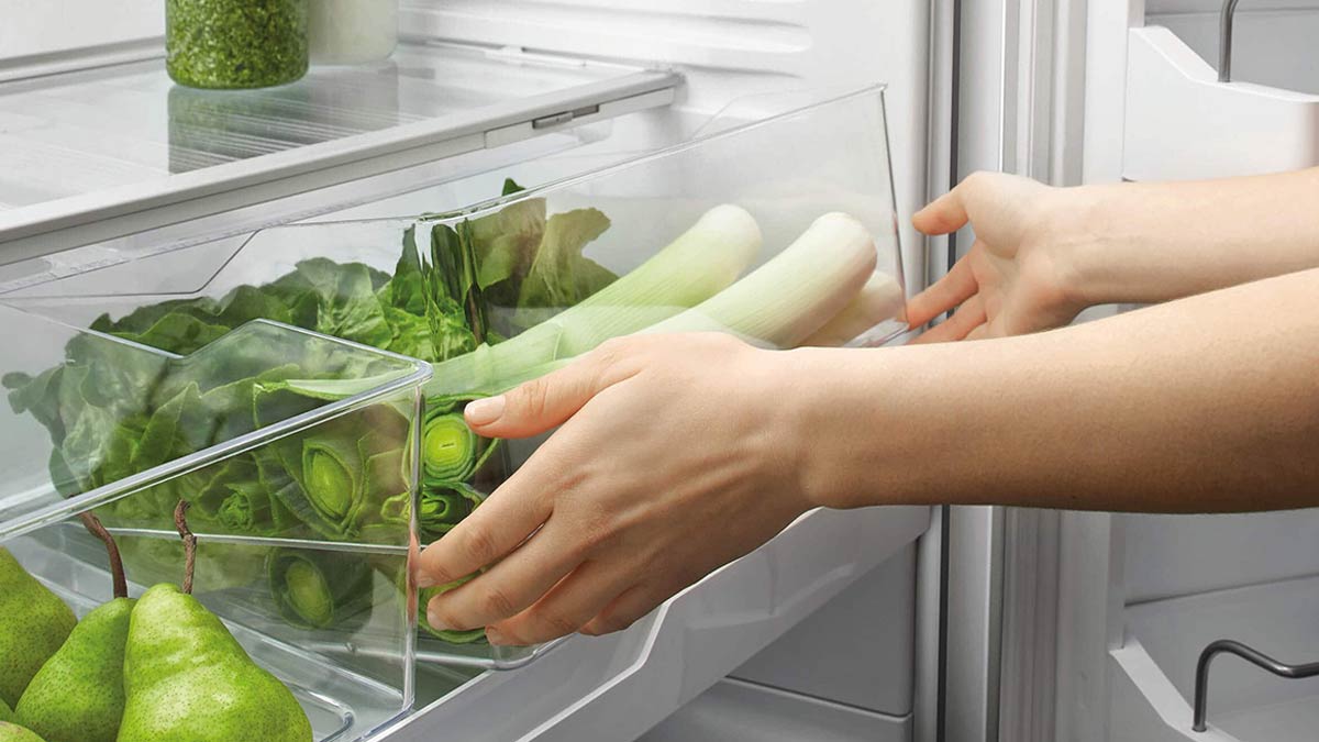 How To Store Green Leafy Vegetables In Fridge HerZindagi