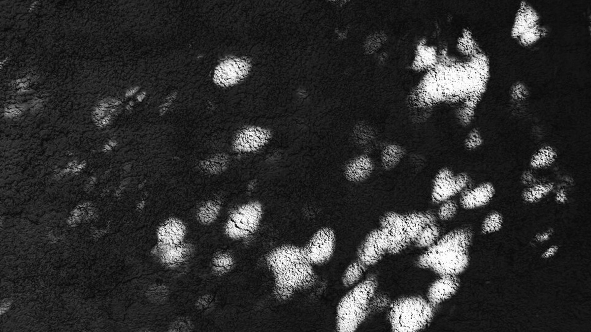 black clothes washing tips