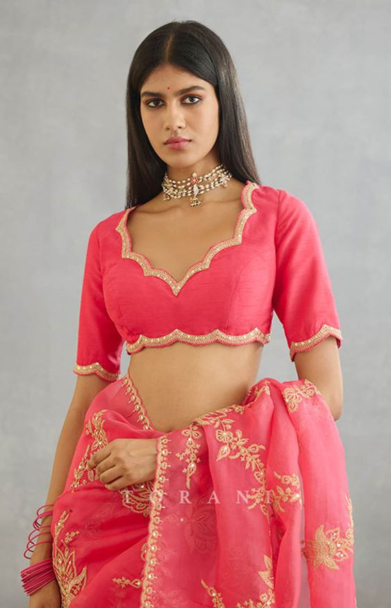 Hand Embroidered Dori And Adda Work V Neck Blouse Design