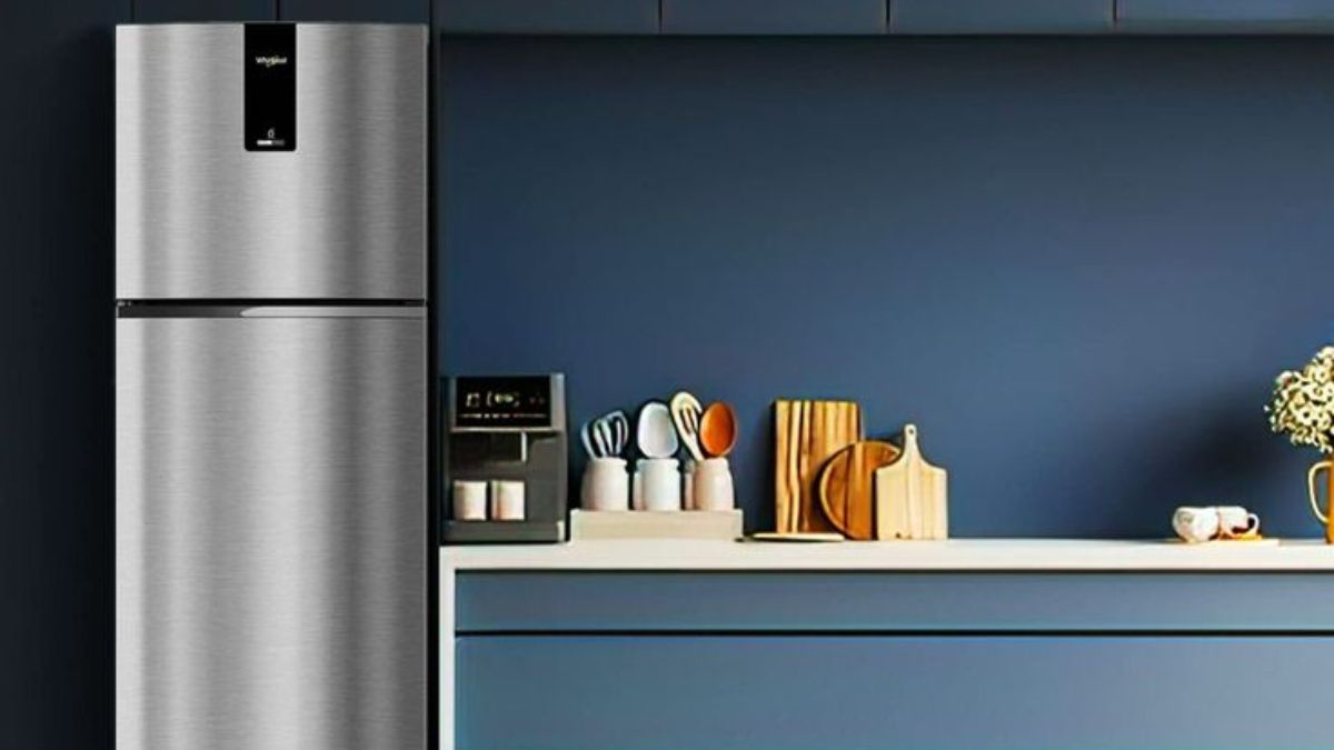 Best Rated Double Door Refrigerator (October 2024) Pick From LG