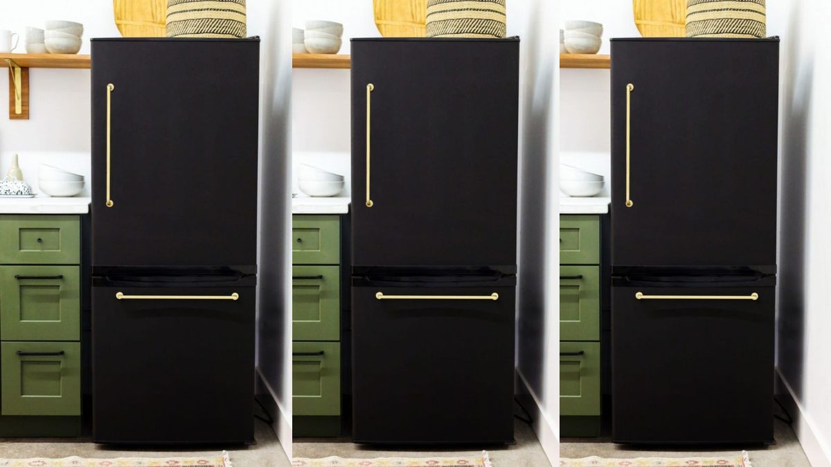 Explore Best Refrigerators In India During Amazon Great Indian Festival