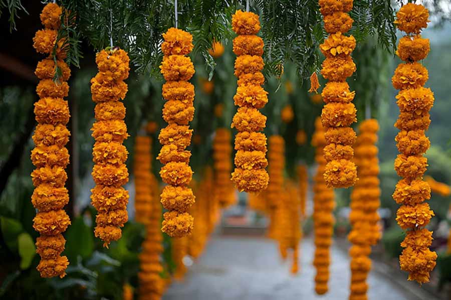 Diwali 2024 Garden Decor with Flower Garland