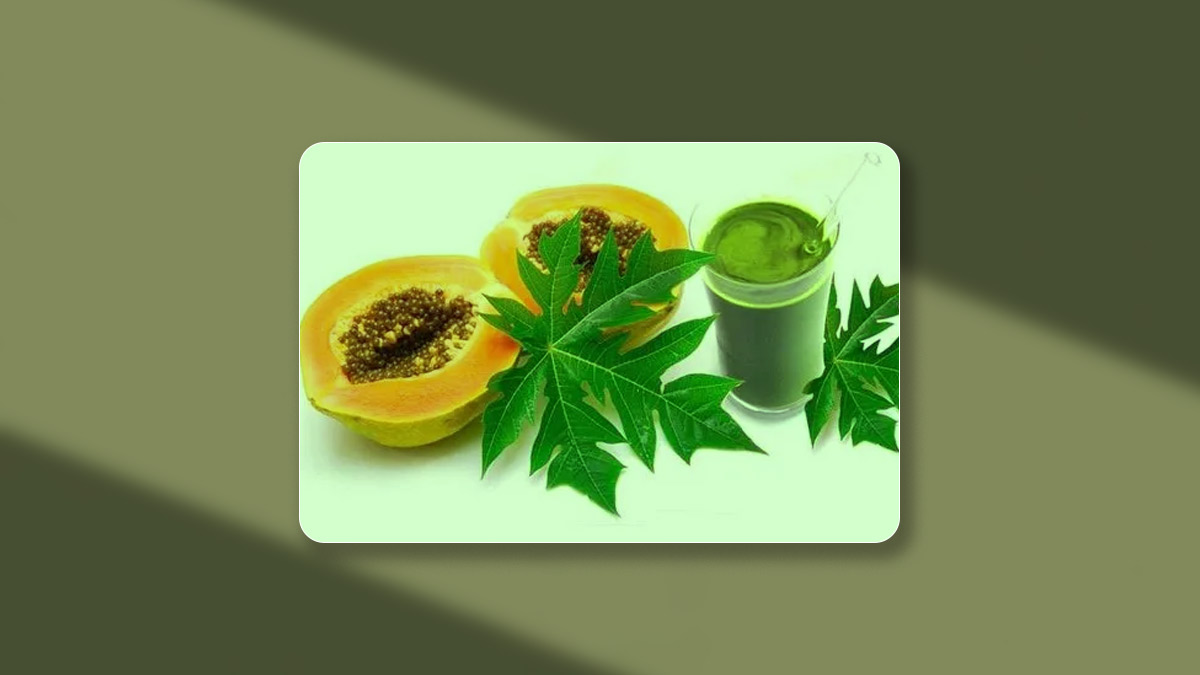 Papaya leaf tea side effects best sale