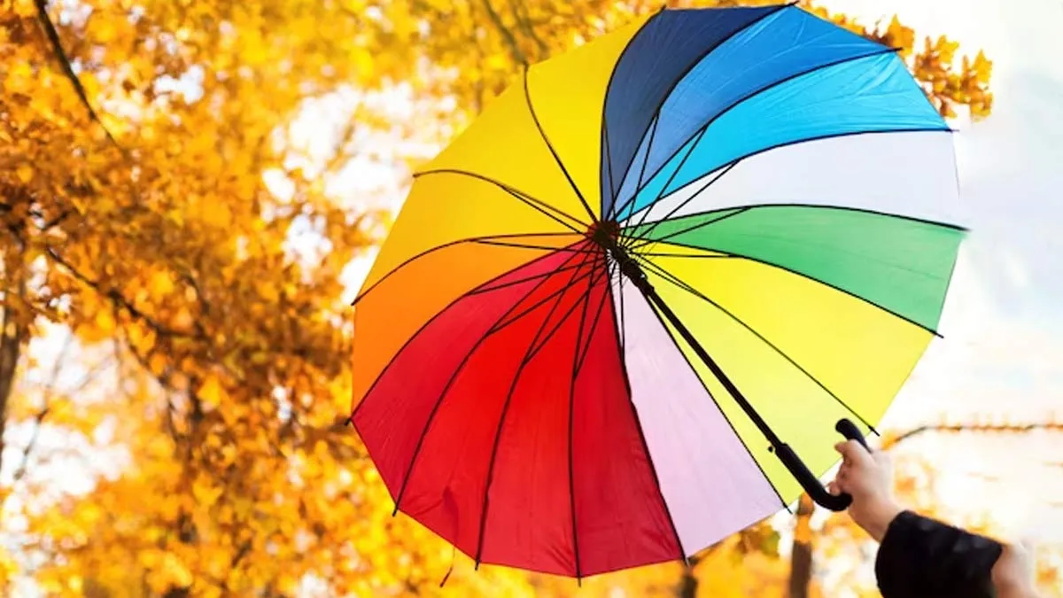 Sazon Color What Is Colour Season? A Step-By-Step Guide To Finding The Perfect Hues ...