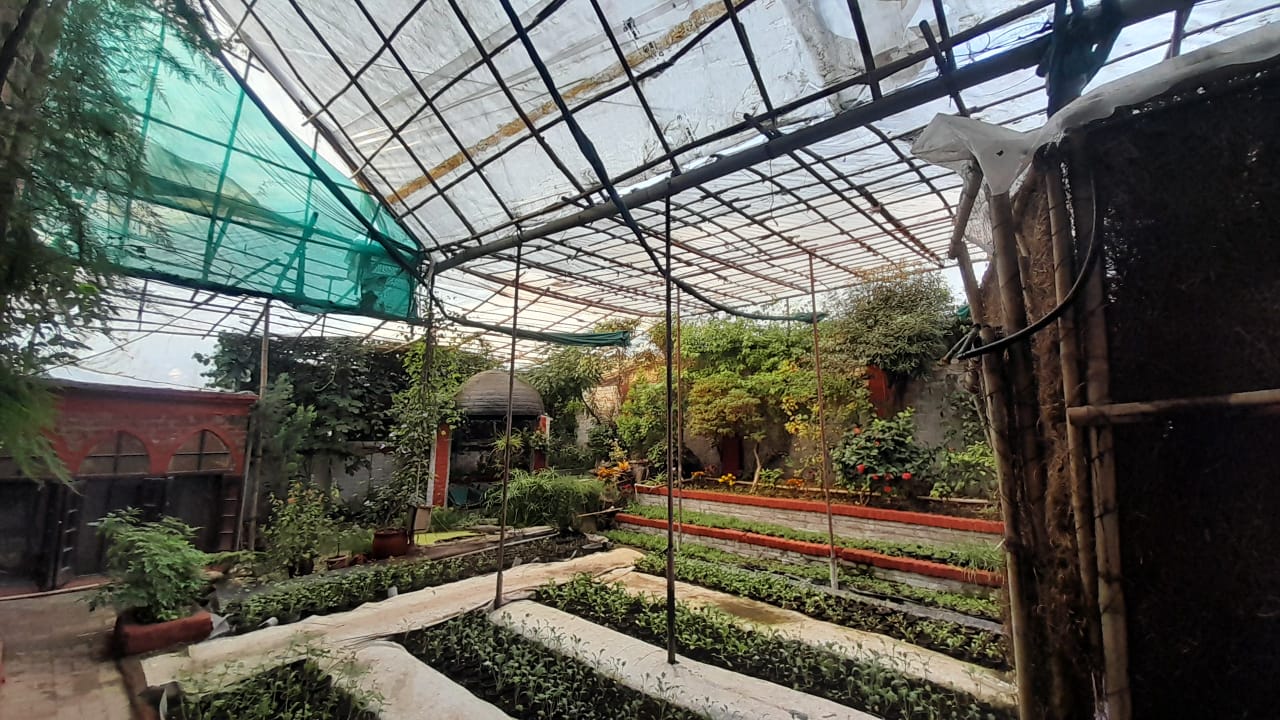 AQI delhi couple farming