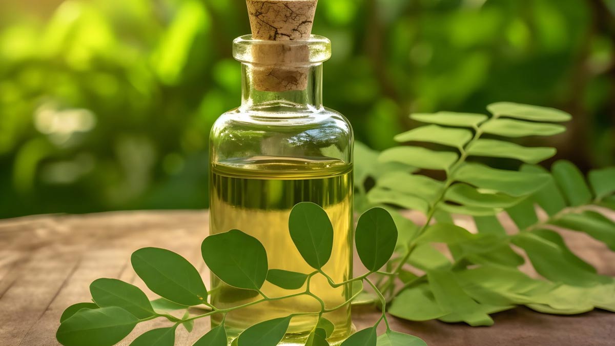 Moringa Oil For Hair: 3 Benefits And How to Use | HerZindagi