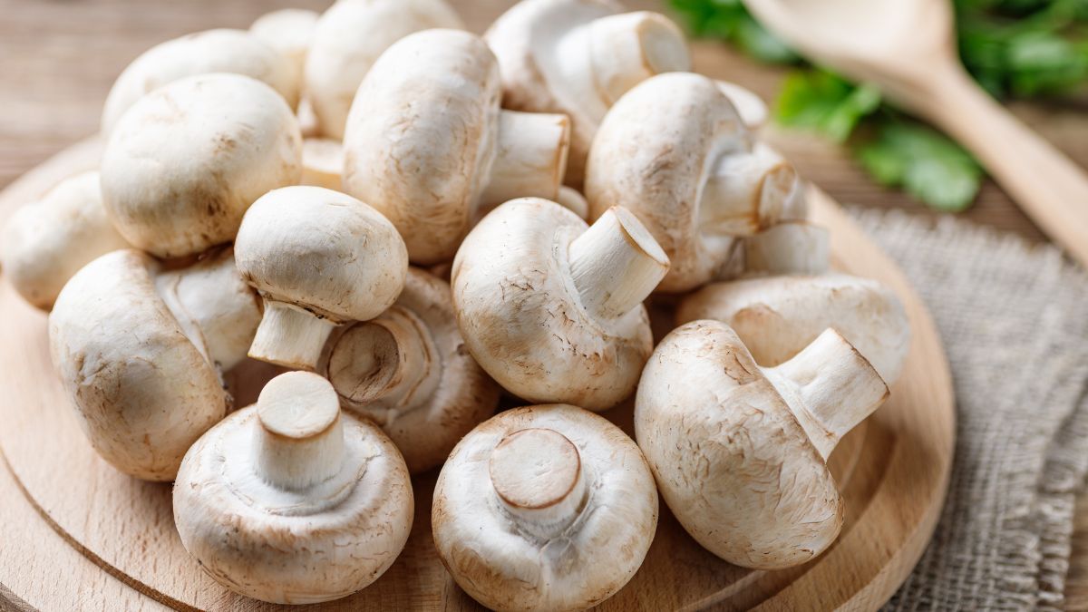 Benefits Of Consuming 5 Mushrooms Daily