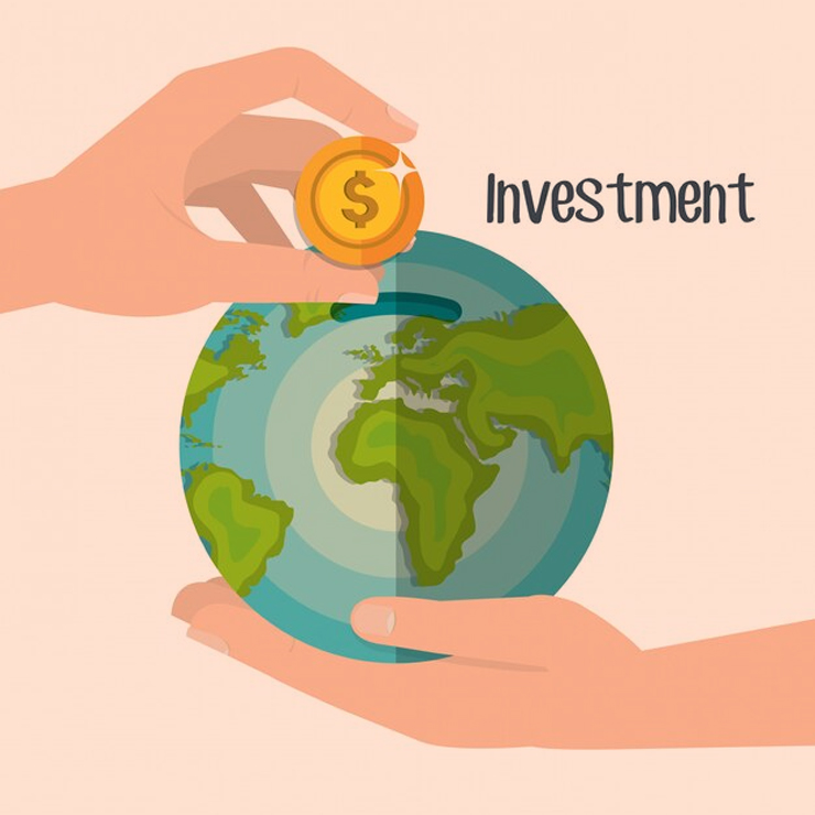 direct equity investment