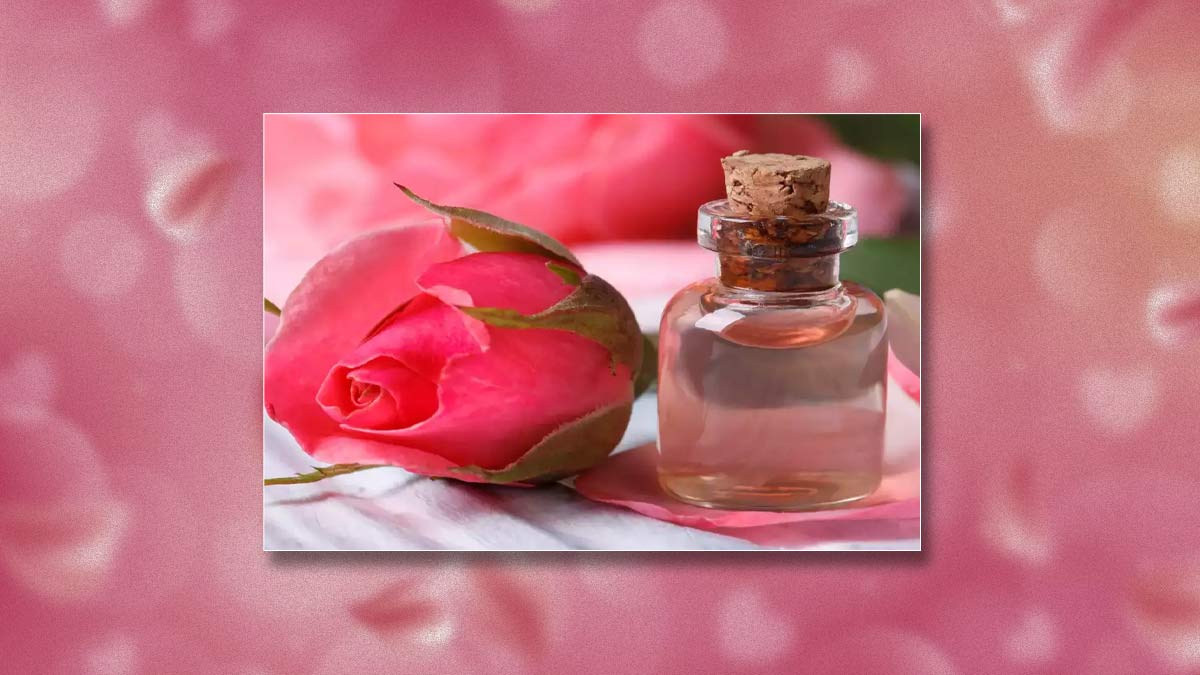 5 Unique Benefits of Rose Water For Hair And How To Use It