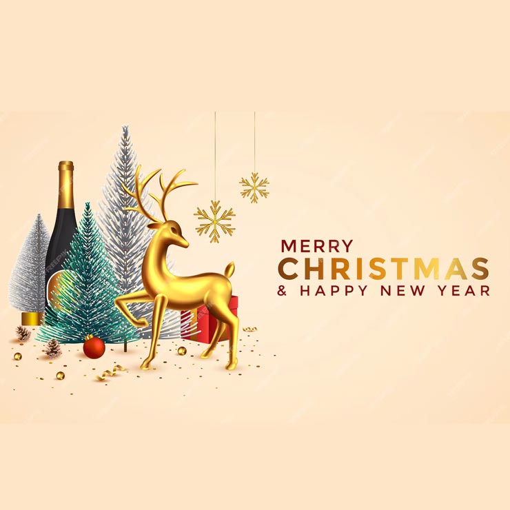 Merry Christmas And Happy New Year Wishes 10+ Wishes, Quotes, Messages