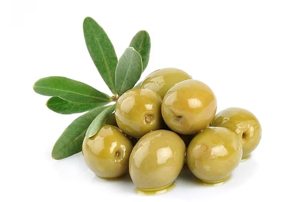 how to grow olive plant at home