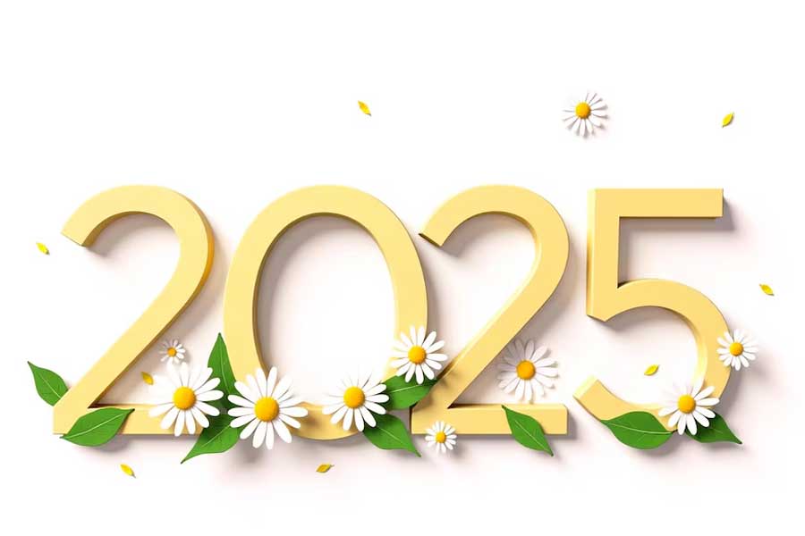 Festivals In June 2025