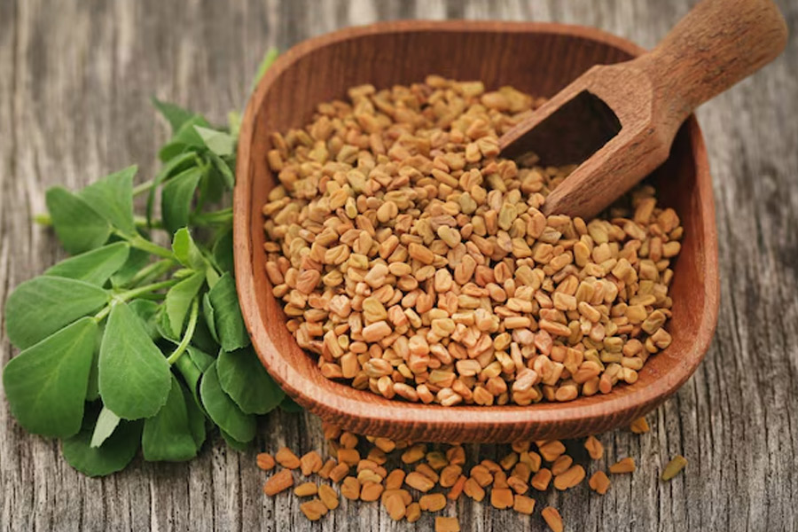 Fenugreek