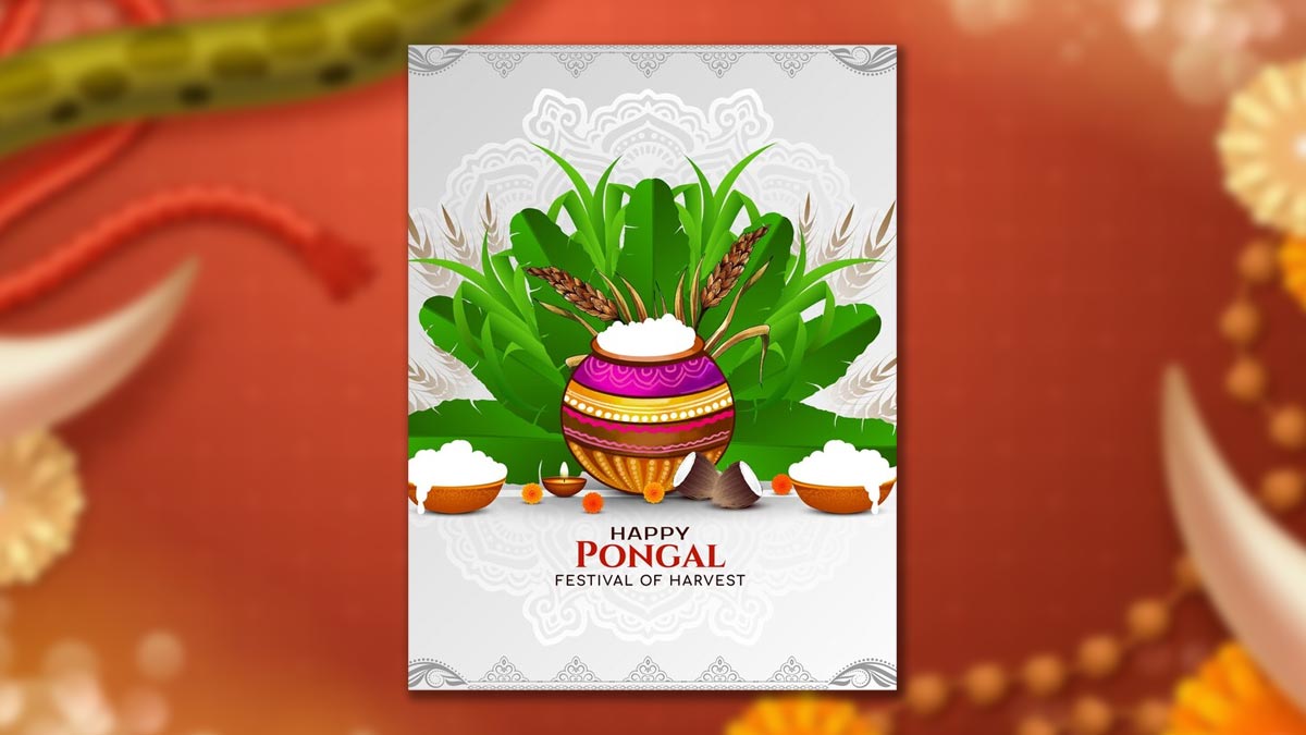 Pongal 2025 Dates, History, And Significance Of South India's Most