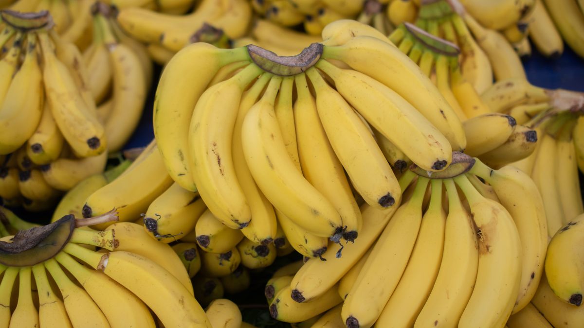 Banana At Night Side Effects, Myths, And Benefits Shared By Expert