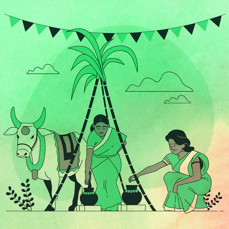 Pongal 2025 Dates, History, And Significance Of South India's Most