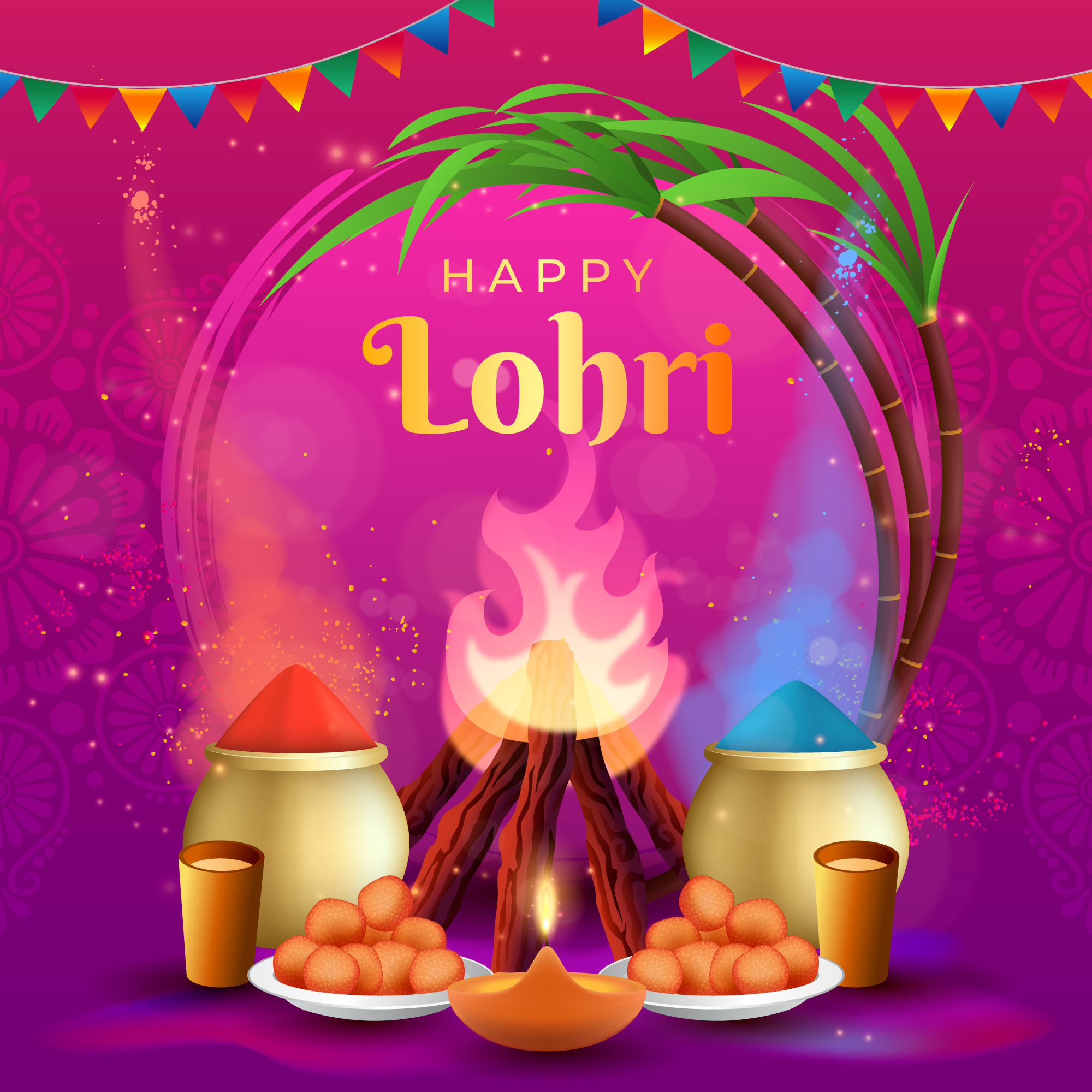 lohri celebrations