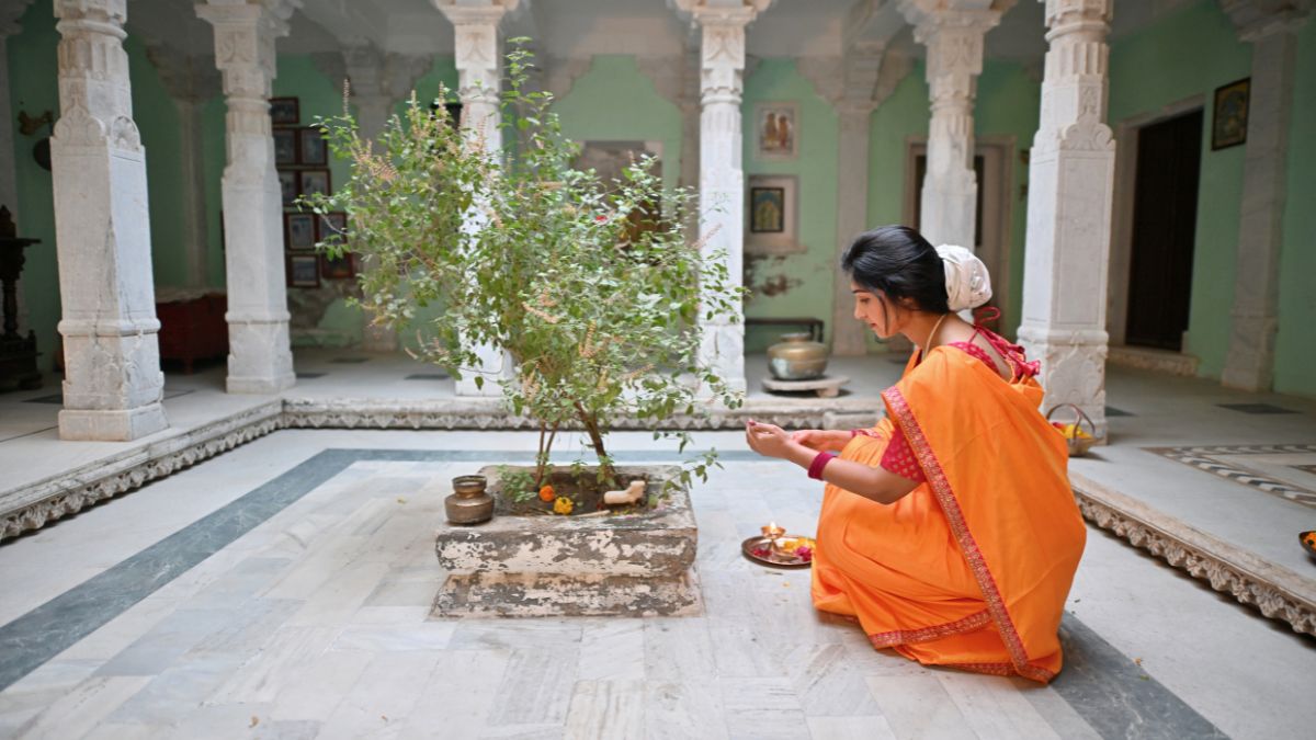 Right Direction For Tulsi Plant As Per Vastu