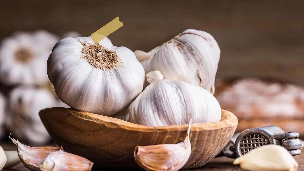 3 DIY Garlic Hair Packs to Prevent Hair Fall | HerZindagi