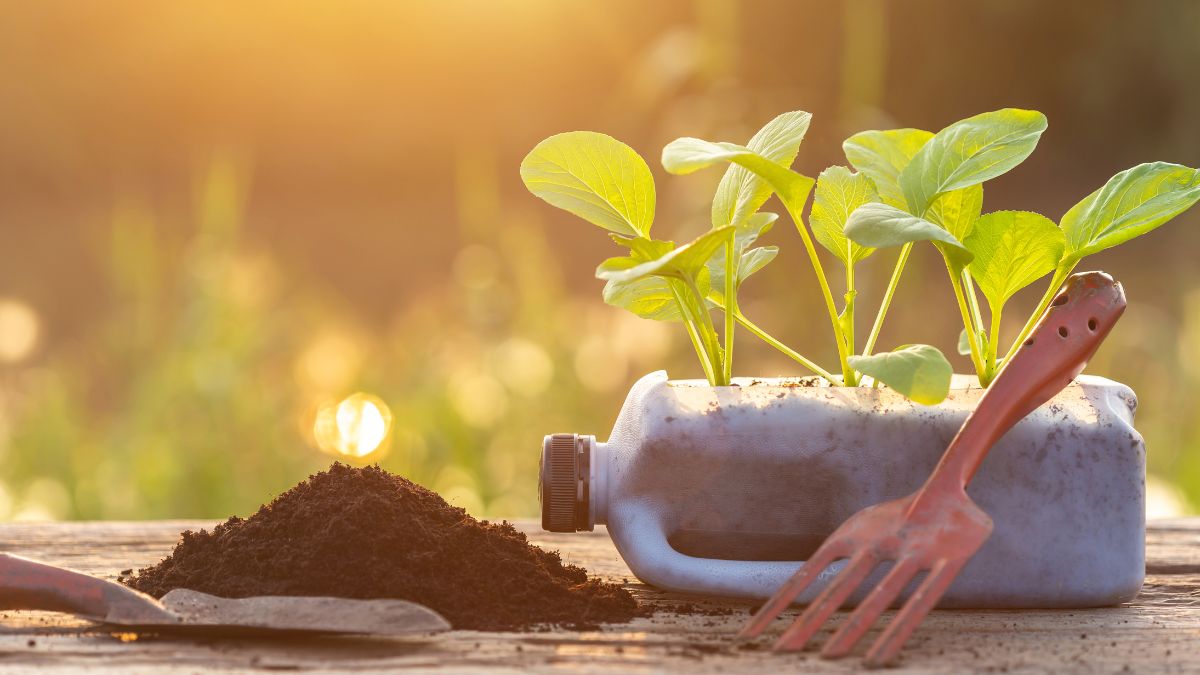 To Build Your Bottle Garden