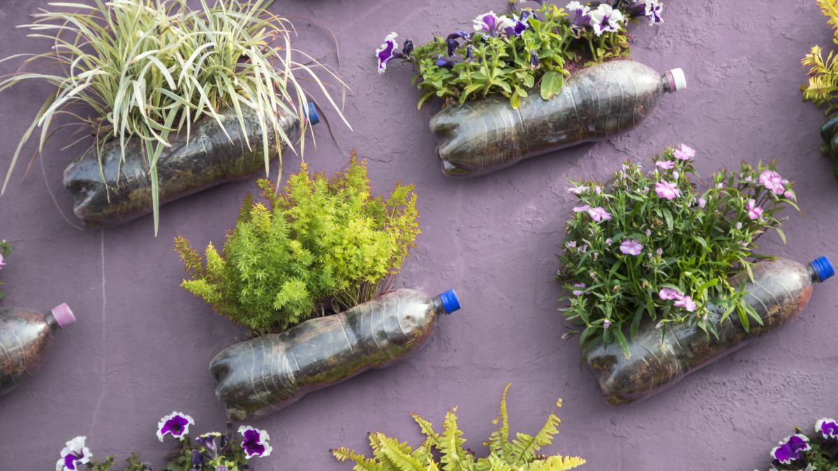 steps To Build Your Bottle Garden