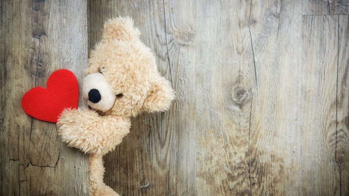 Where To Buy Teddies At Cheap Prices in delhi