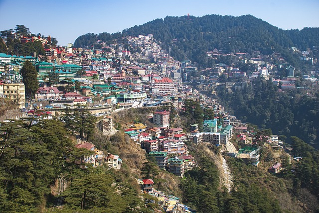 shimla