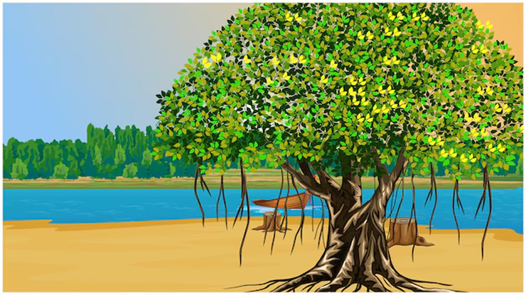 Vastu Tips For Banyan Tree