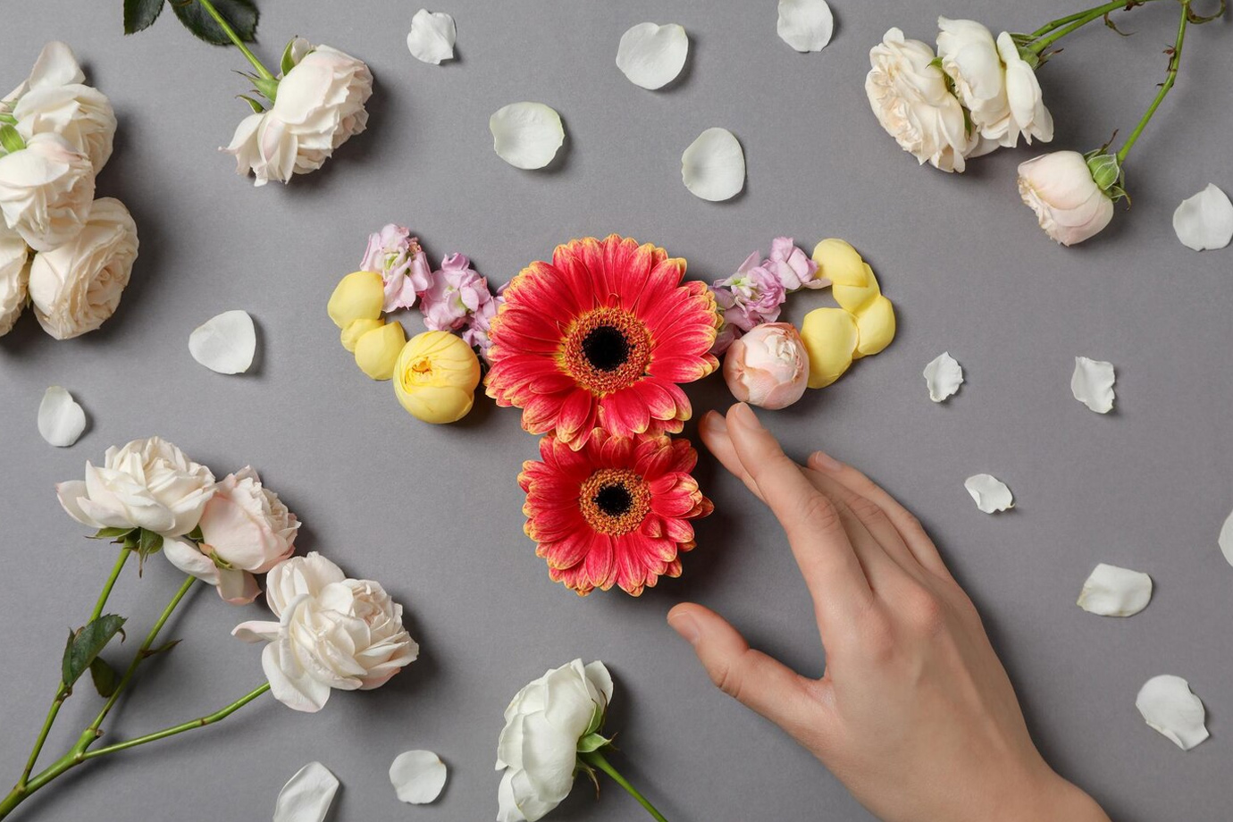 vaginal lubrication causes