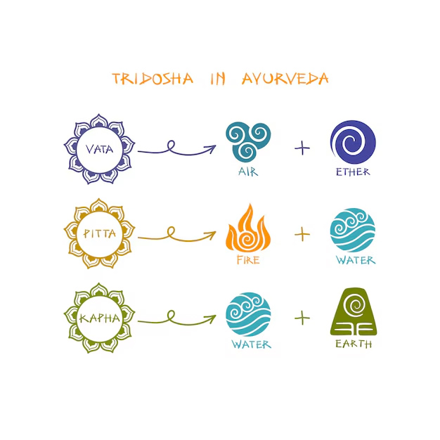 The Three Doshas Vata, Pitta, and Kapha