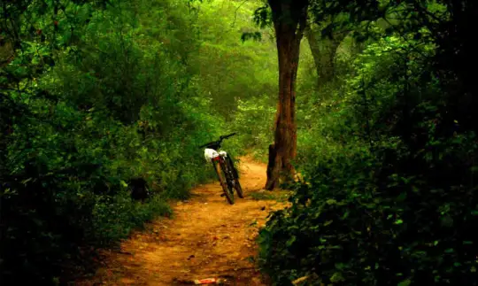 sanjay van