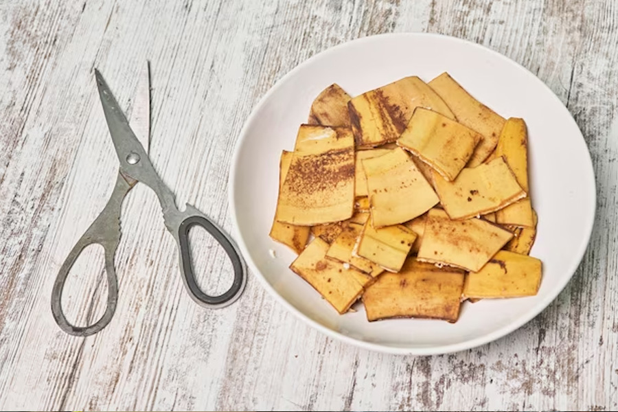 Banana Peel Fertiliser