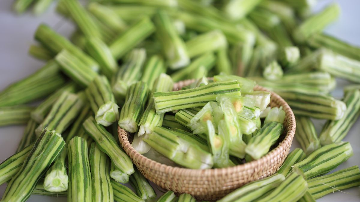 Drumstick Leaves: 6 Surprising Health Benefits, How To Consume, And More |  HerZindagi