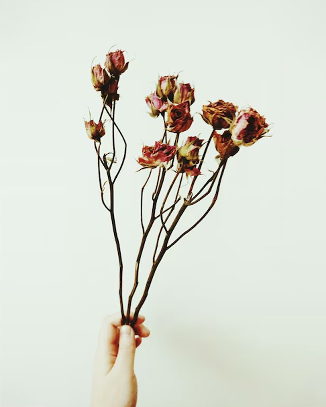 How To Make Herbal Agarbatti From Dried Puja Flowers